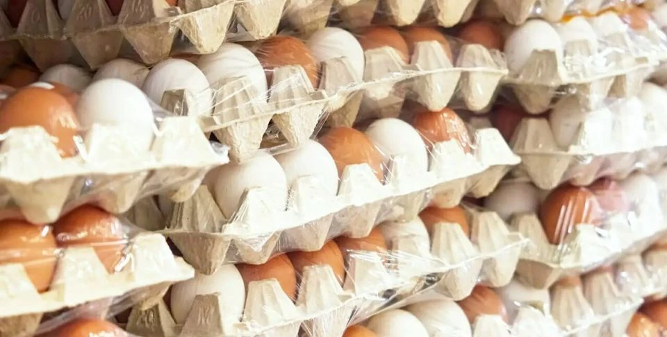 🥚 Онищенко: магазинные яйца в упаковке необязательно мыть перед приготовлением