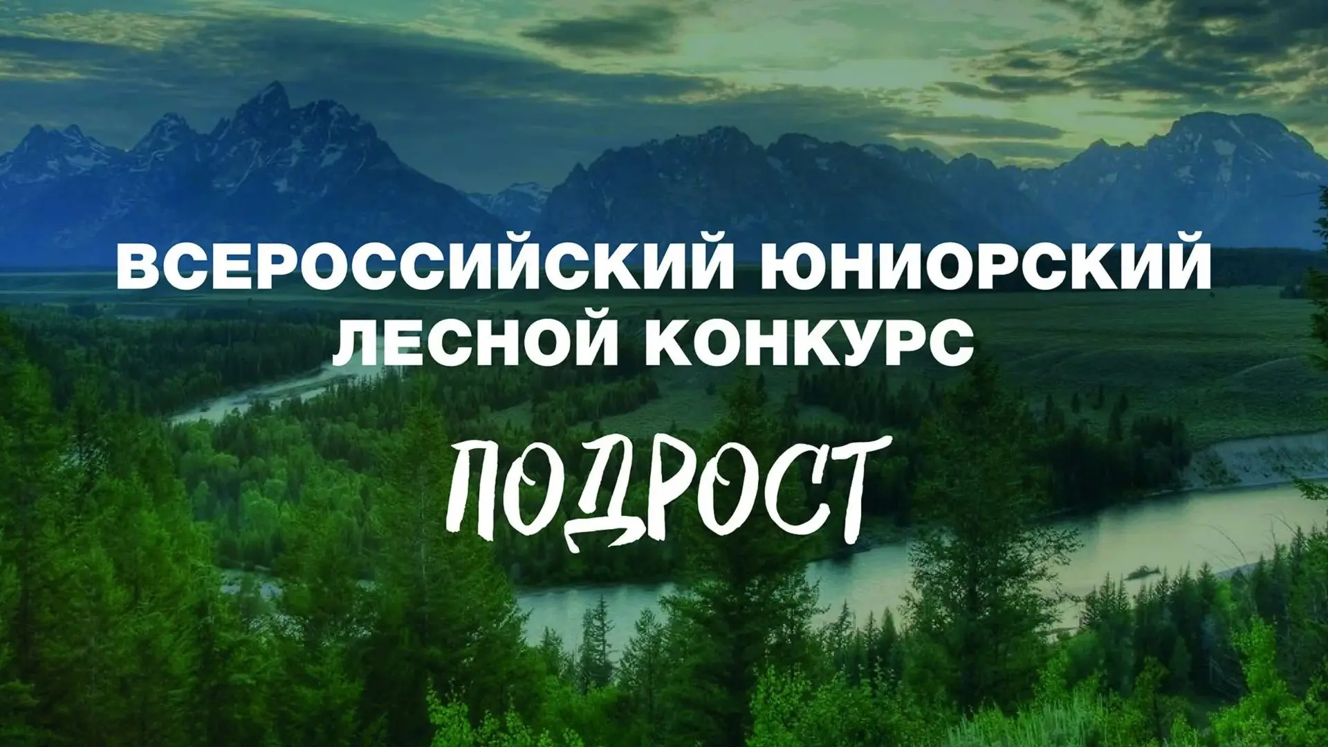 Министерство лесного хозяйства Хакасии приглашает юных экологов и наставников принять у...