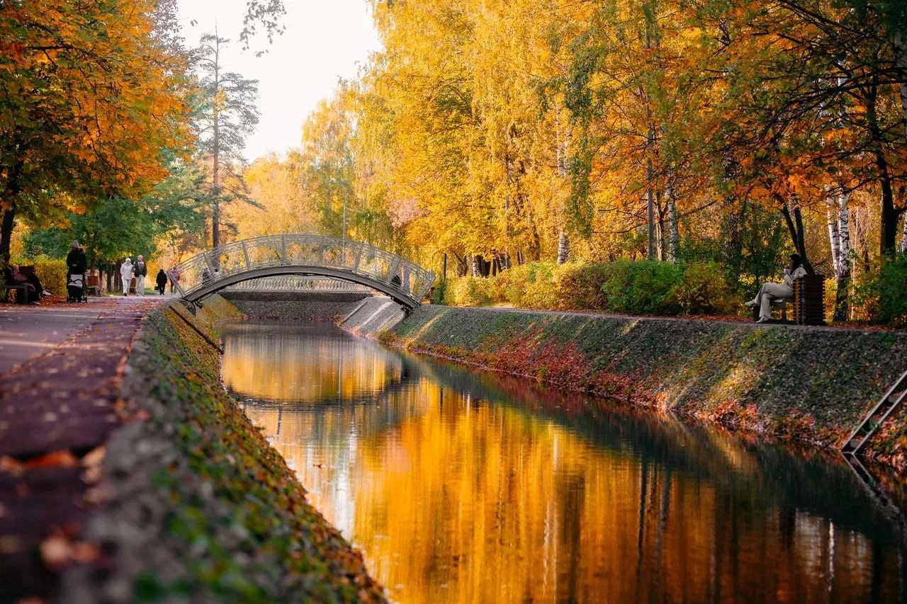 🍂Осень раскрасила парк Урицкого в тёплые золотые и багряные оттенки 🍁