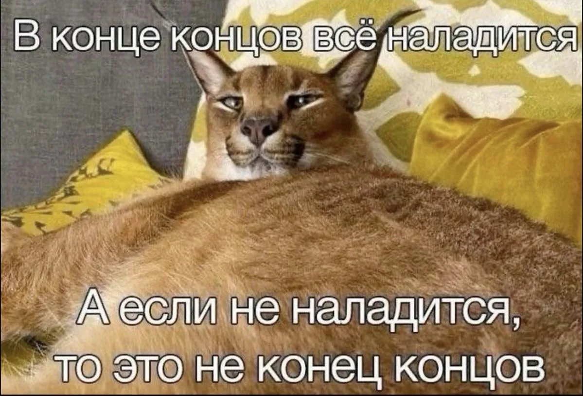 #мыслиавтора