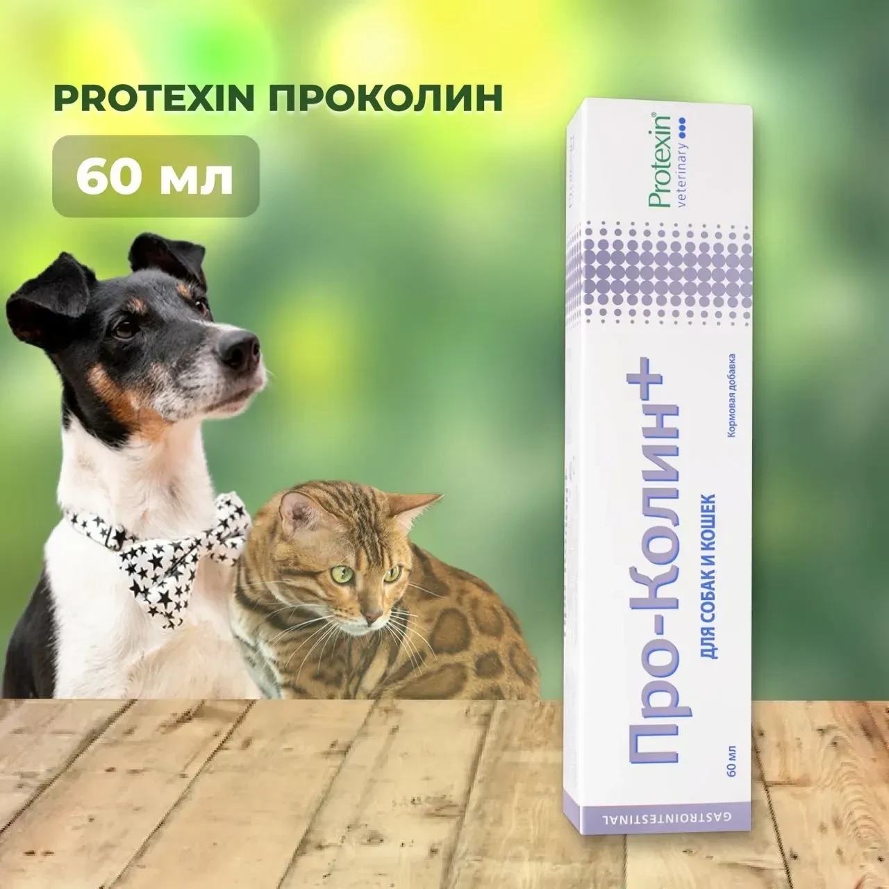 🐶 СКОРАЯ ПОМОЩЬ