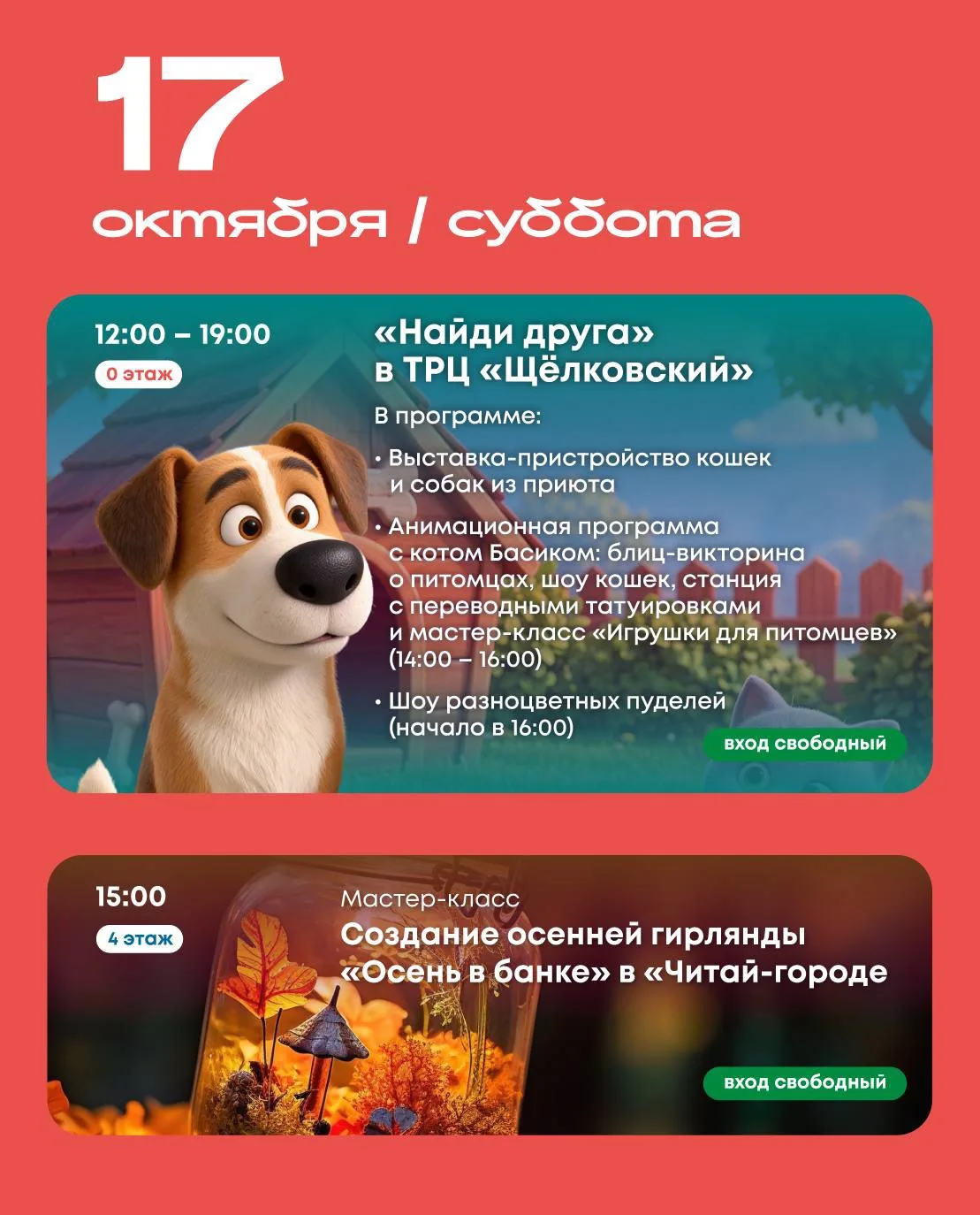 Выставка-пристройство кошек и собак, шоу кошек и разноцветных пуделей, шахматный турнир...