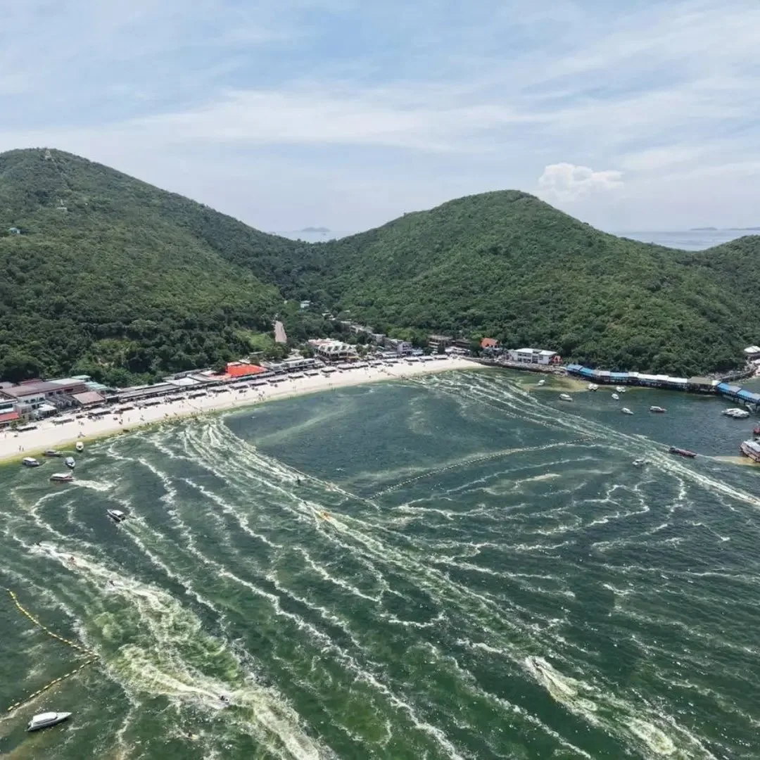 🌊 Вода вокруг Ко Лана стала зелёной