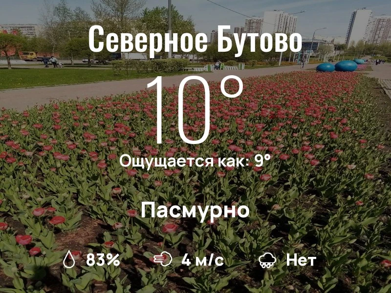 Что с погодой в Северном Бутово?