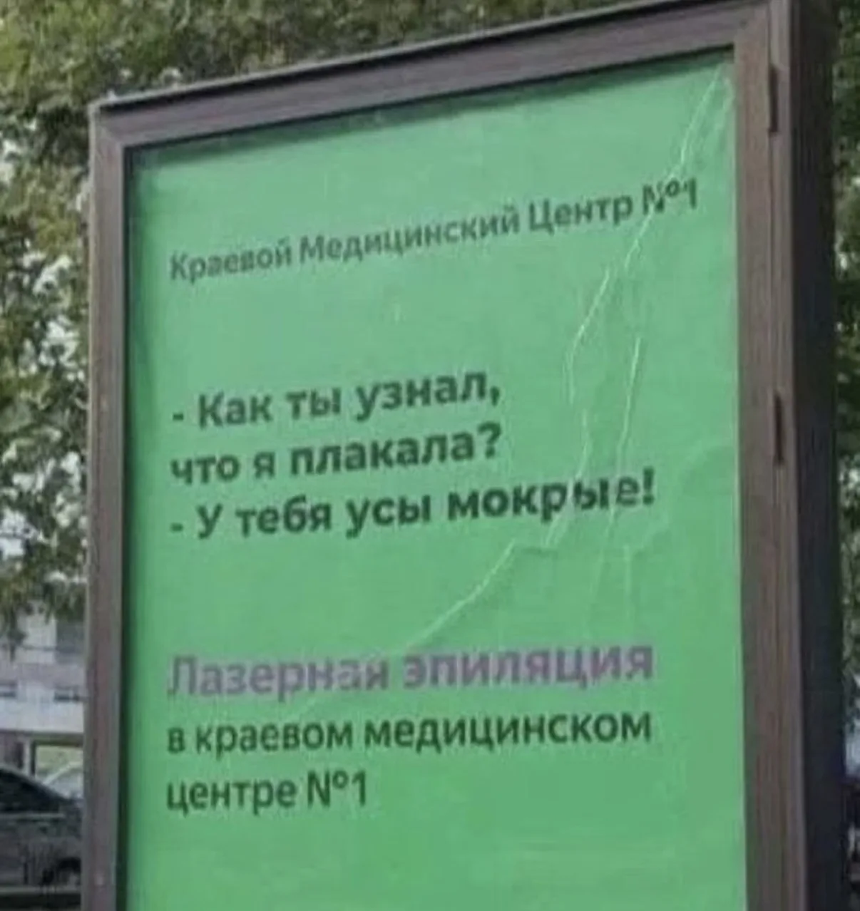 #мемы