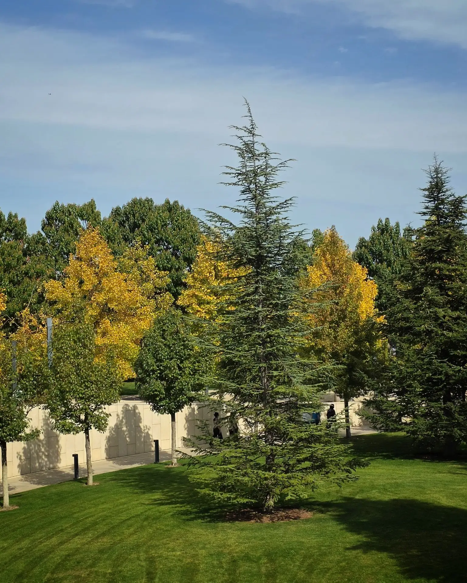 Осень раскрашивает парк 🍂