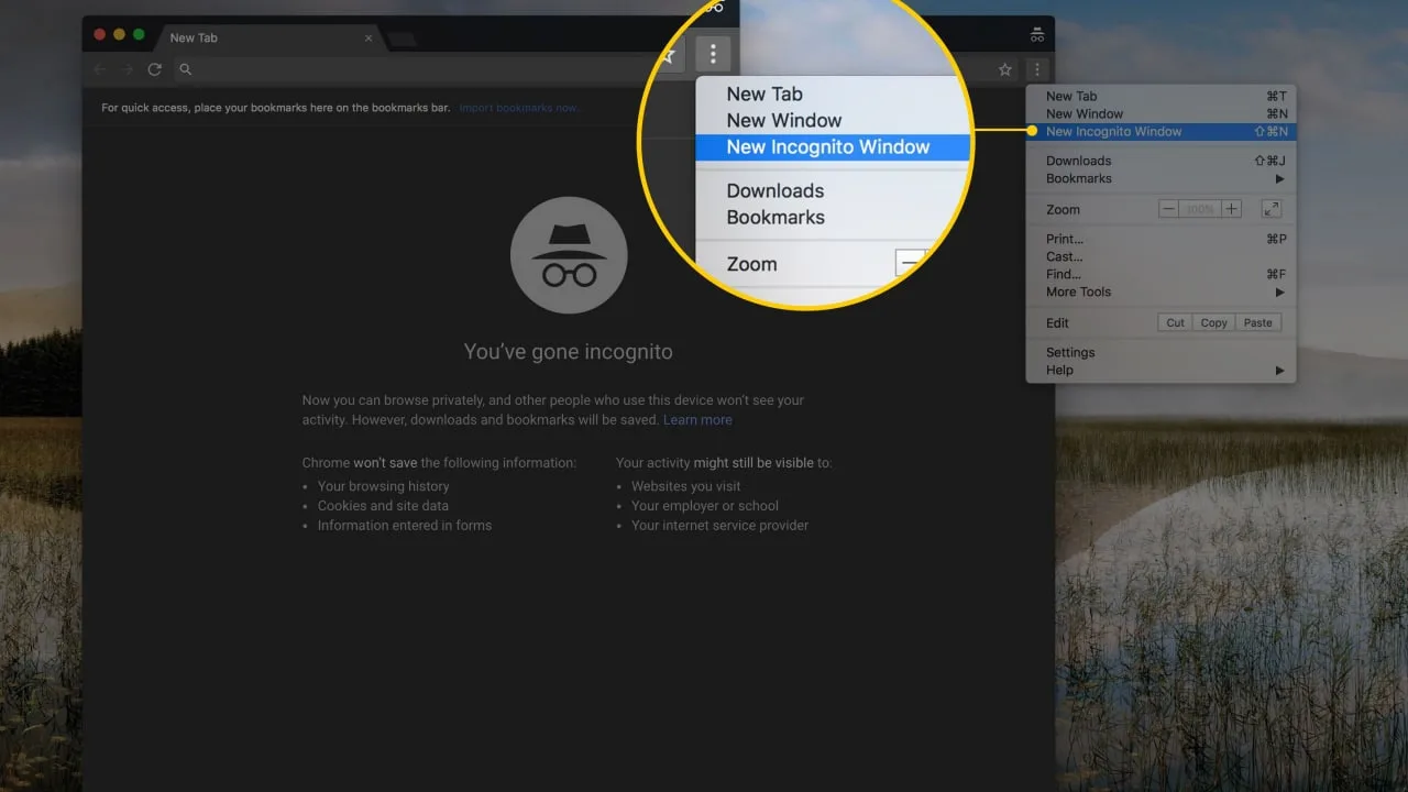 👤 Действительно ли режим инкогнито в Google Chrome является режимом инкогнито?