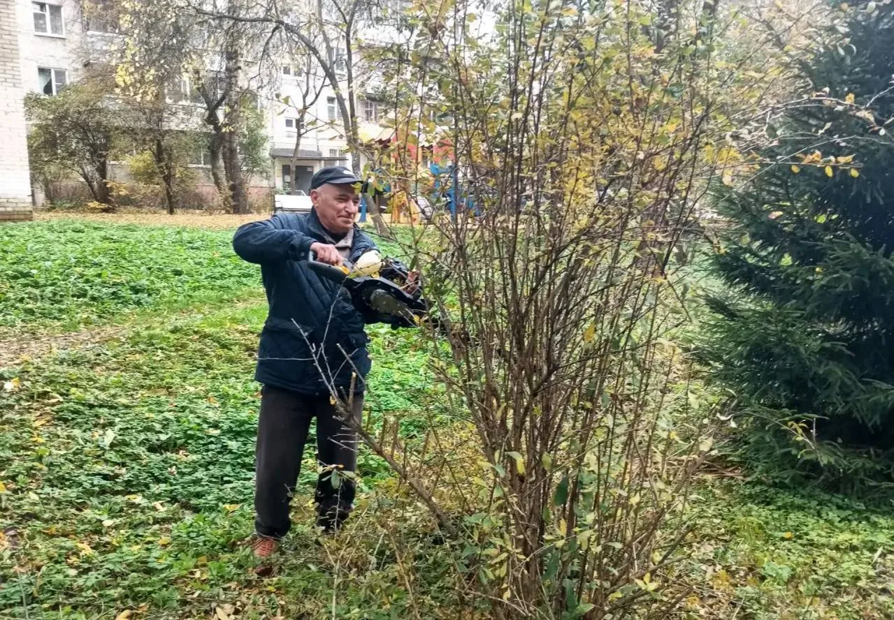 В Подольске на улице Комсомольской провели сезонную опиловку деревьев и кустарников