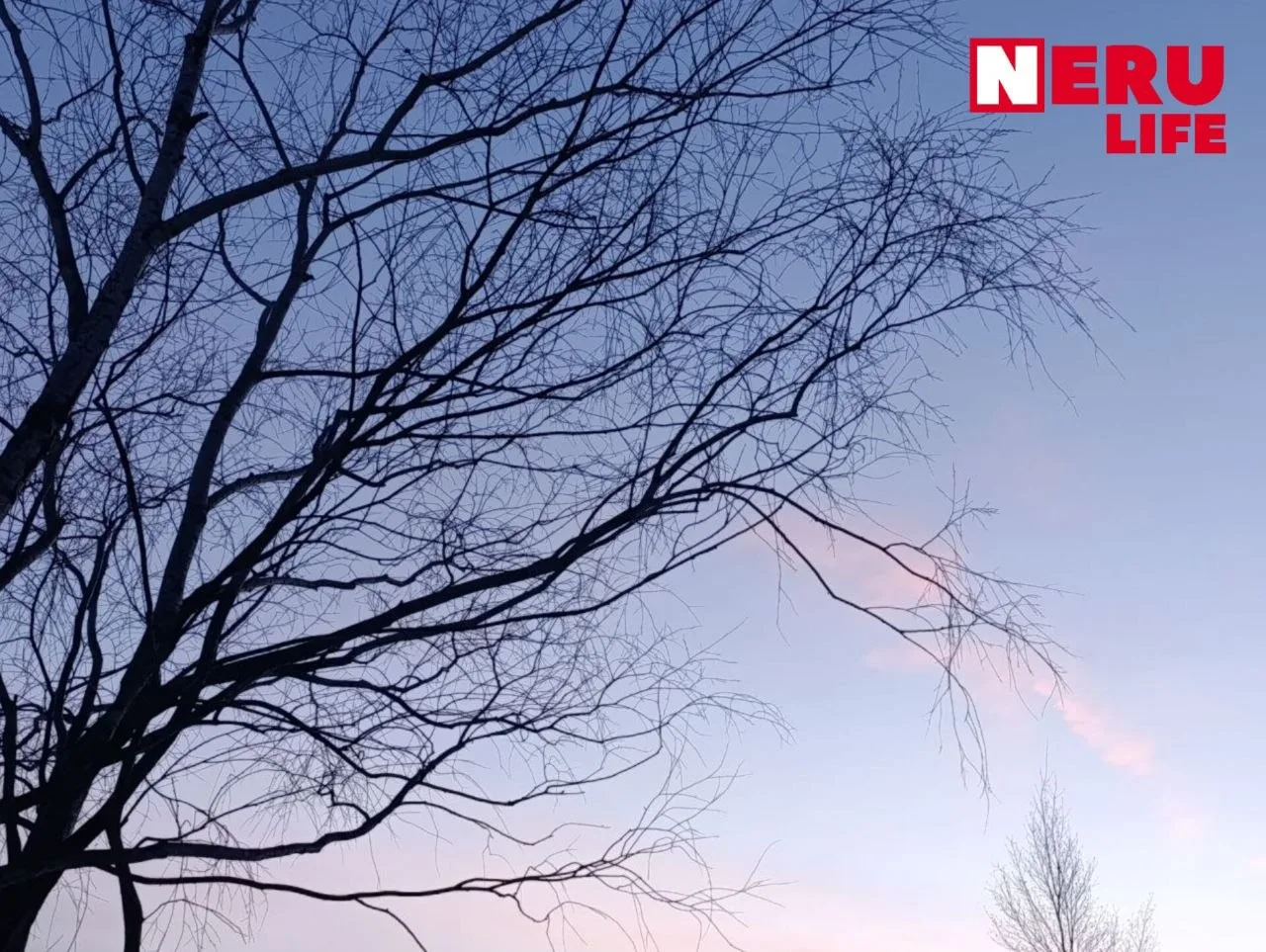 Прогноз погоды на четверг, 15 октября