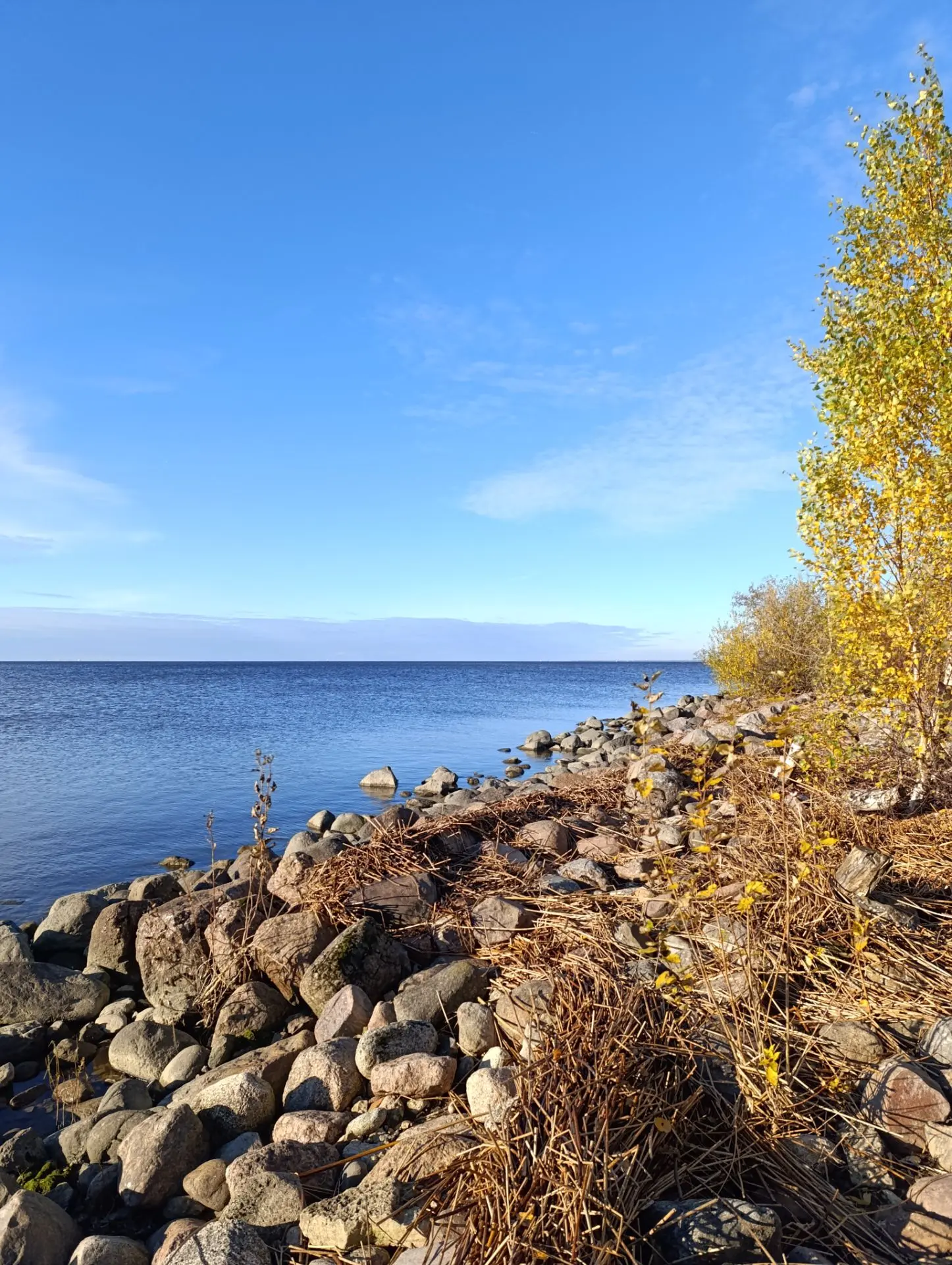 Красота финского залива осенью 🍂