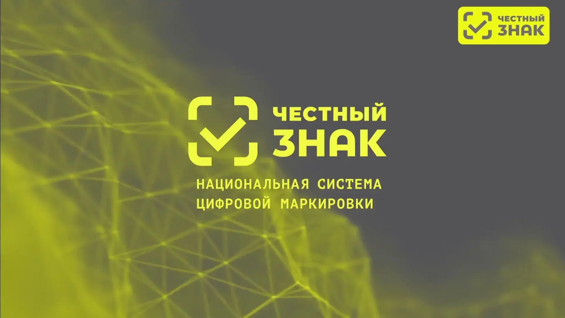 В Петербурге начала действовать система автоматического контроля нарушений в сфере торг...