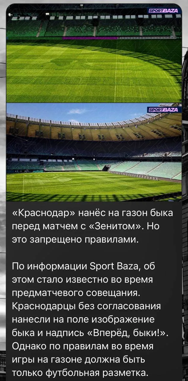 В «Краснодаре» решили, что они умнее всех, и нанесли на газон не только быка, но и целу...