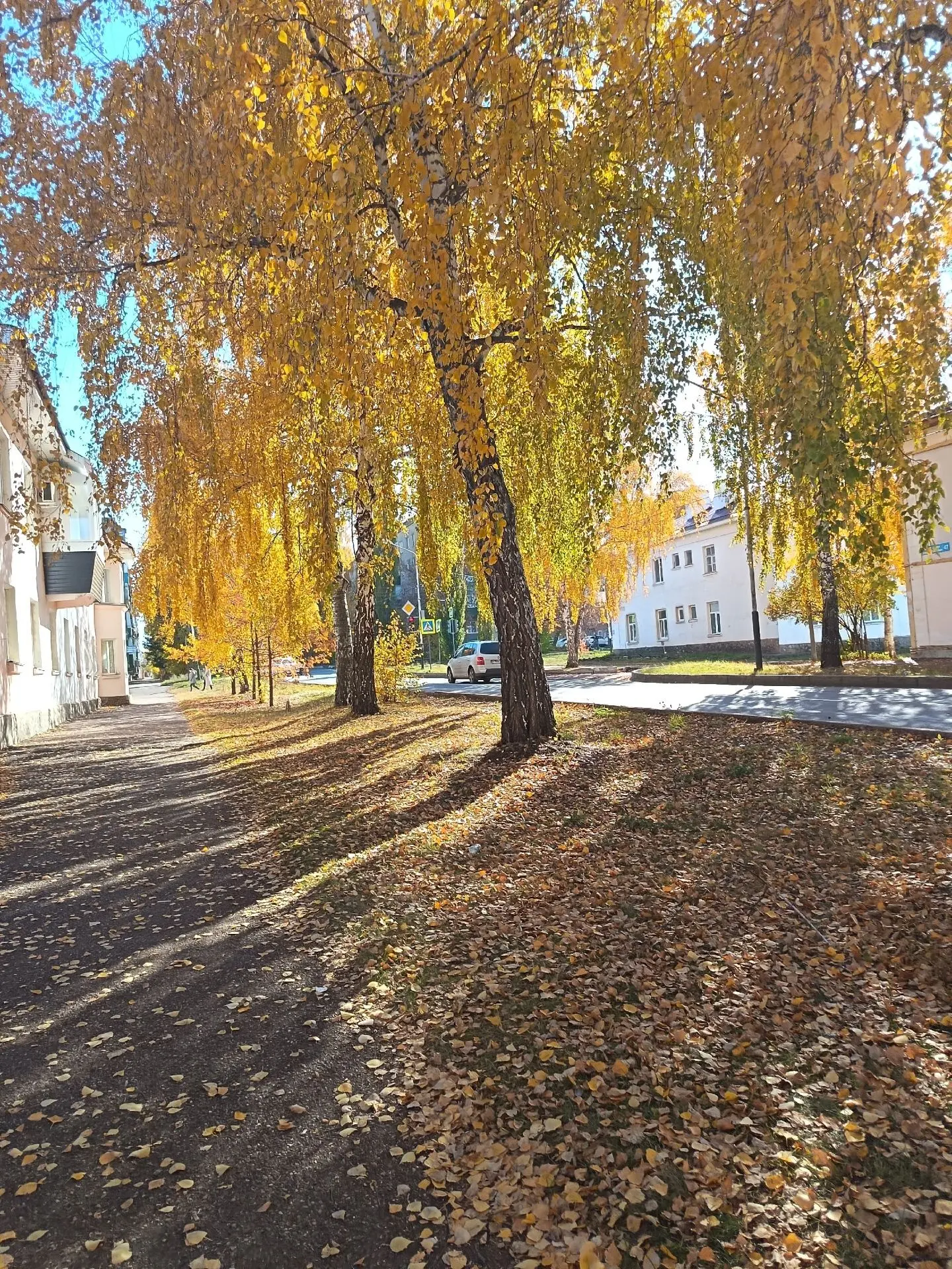 Всем отличного настроения.