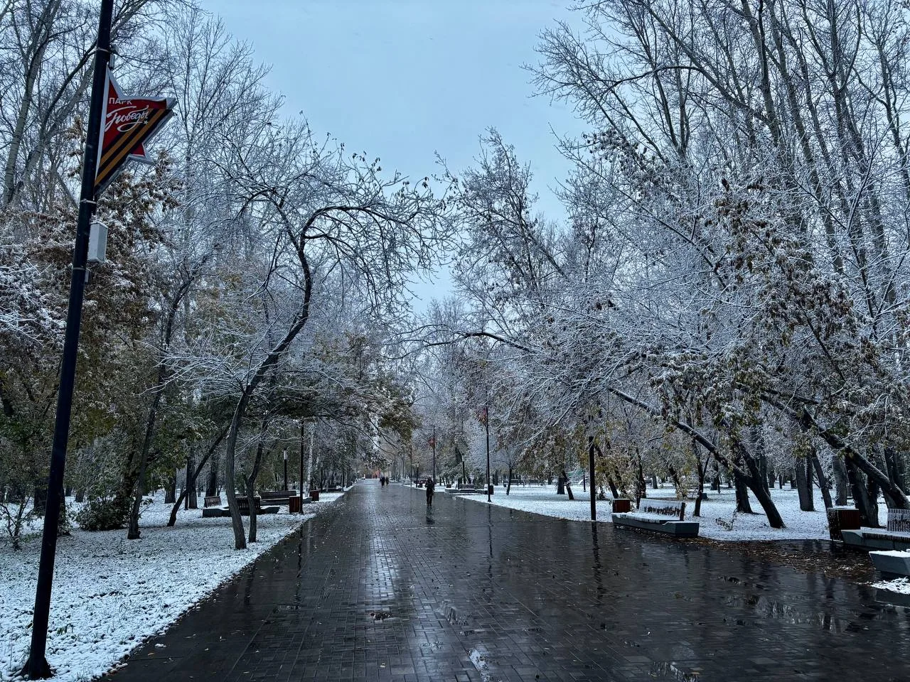 Заснеженный парк Победы ❄