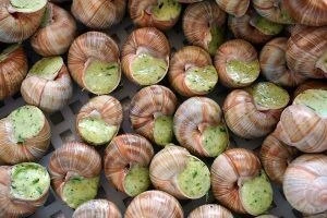 🐌📦 Калининградская область поставила более 14 тонн улиток в Подмосковье
