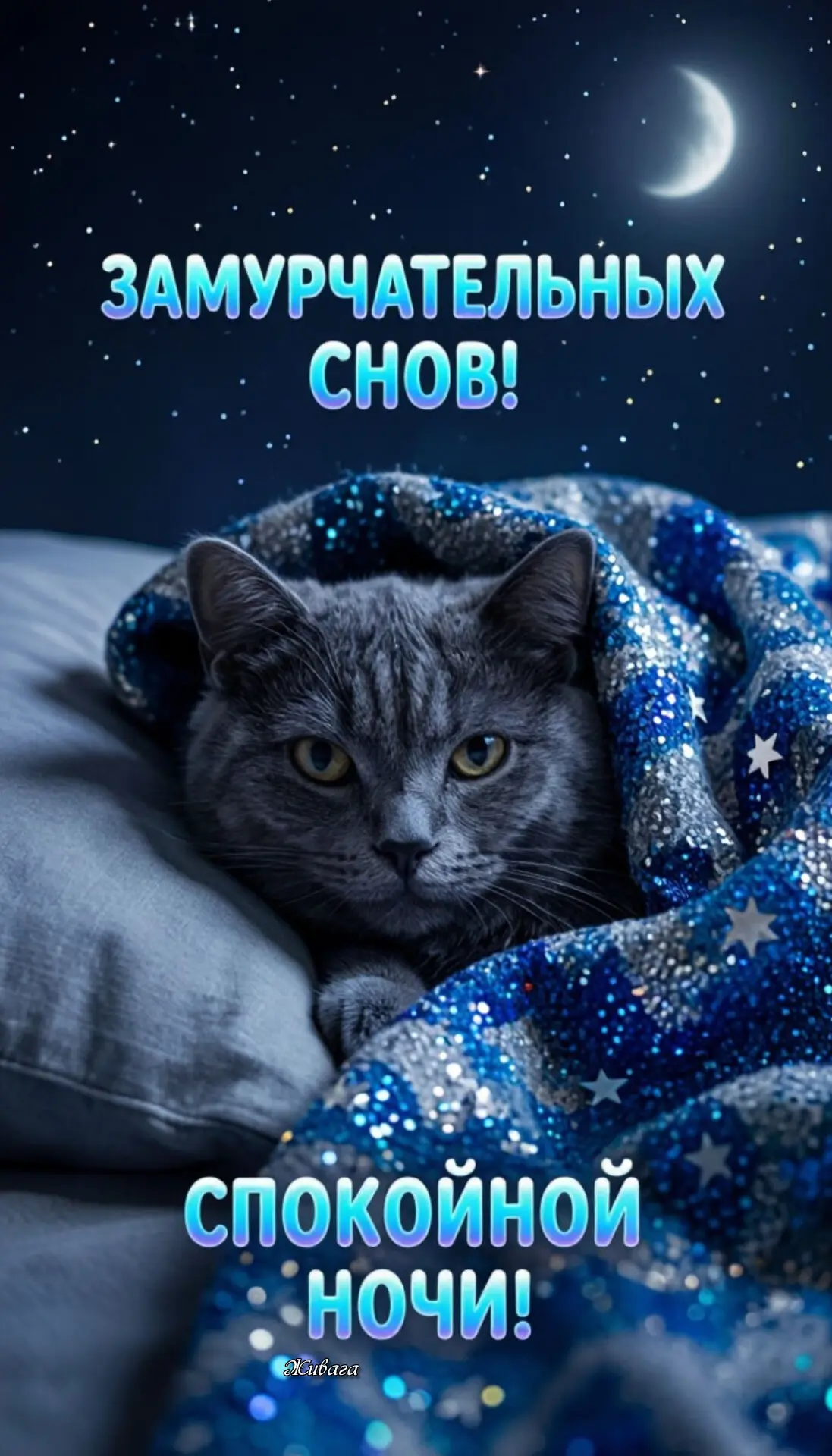 Спокойной ночи ❤
