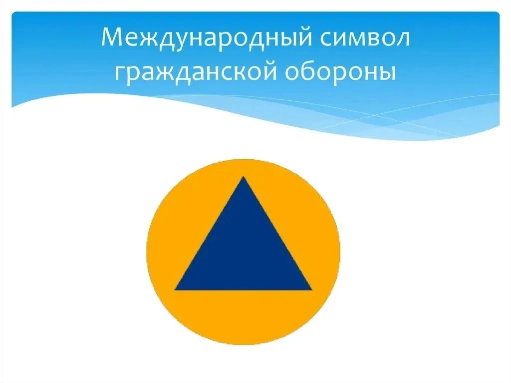 🛡 День гражданской обороны в Сальском ИУБиП