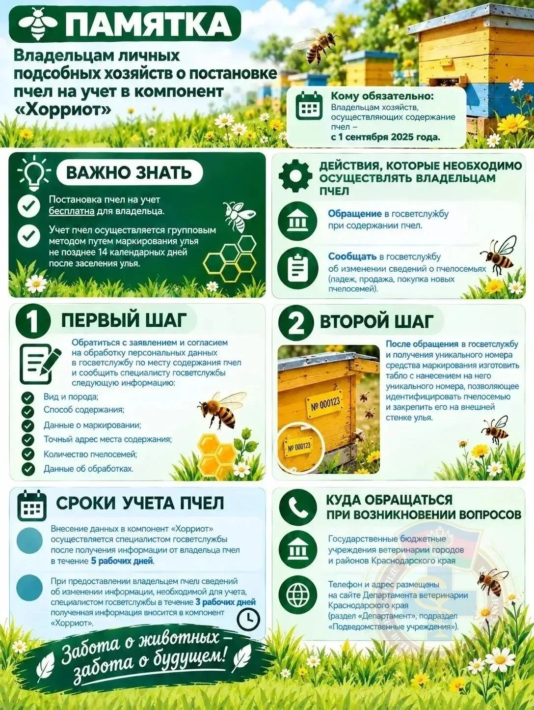 🐔 Курицу в МФЦ нести не нужно! Рассказываем, как на самом деле поставить животных на у...