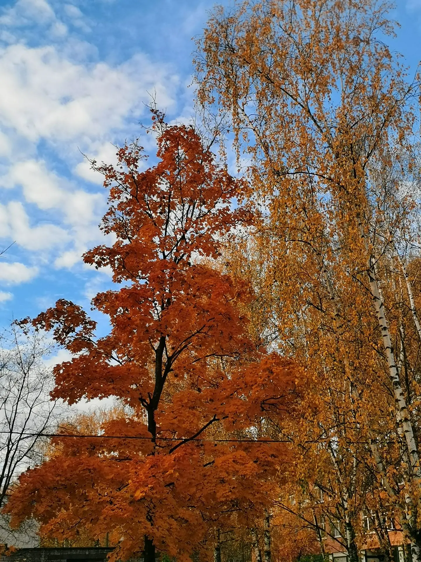 Краски осени 🍁🍂🤩