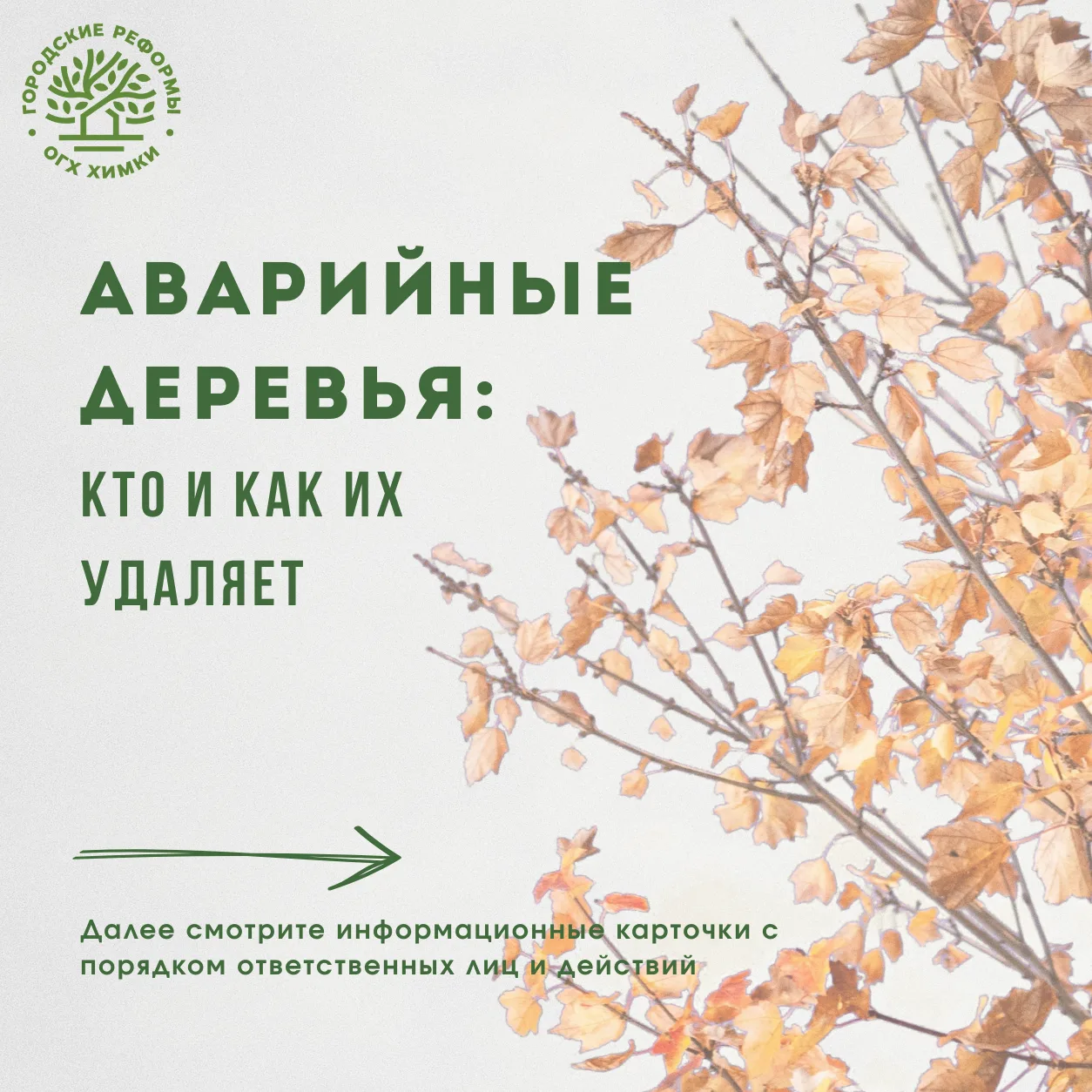 Наклонённое дерево, сухие ветви или поваленный ствол — это не просто вопрос благоустрой...