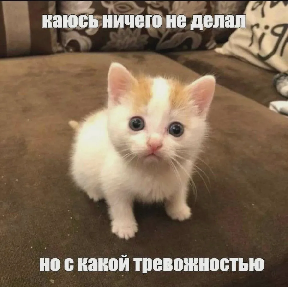 Сегодня отмечают Всемирный день психического здоровья