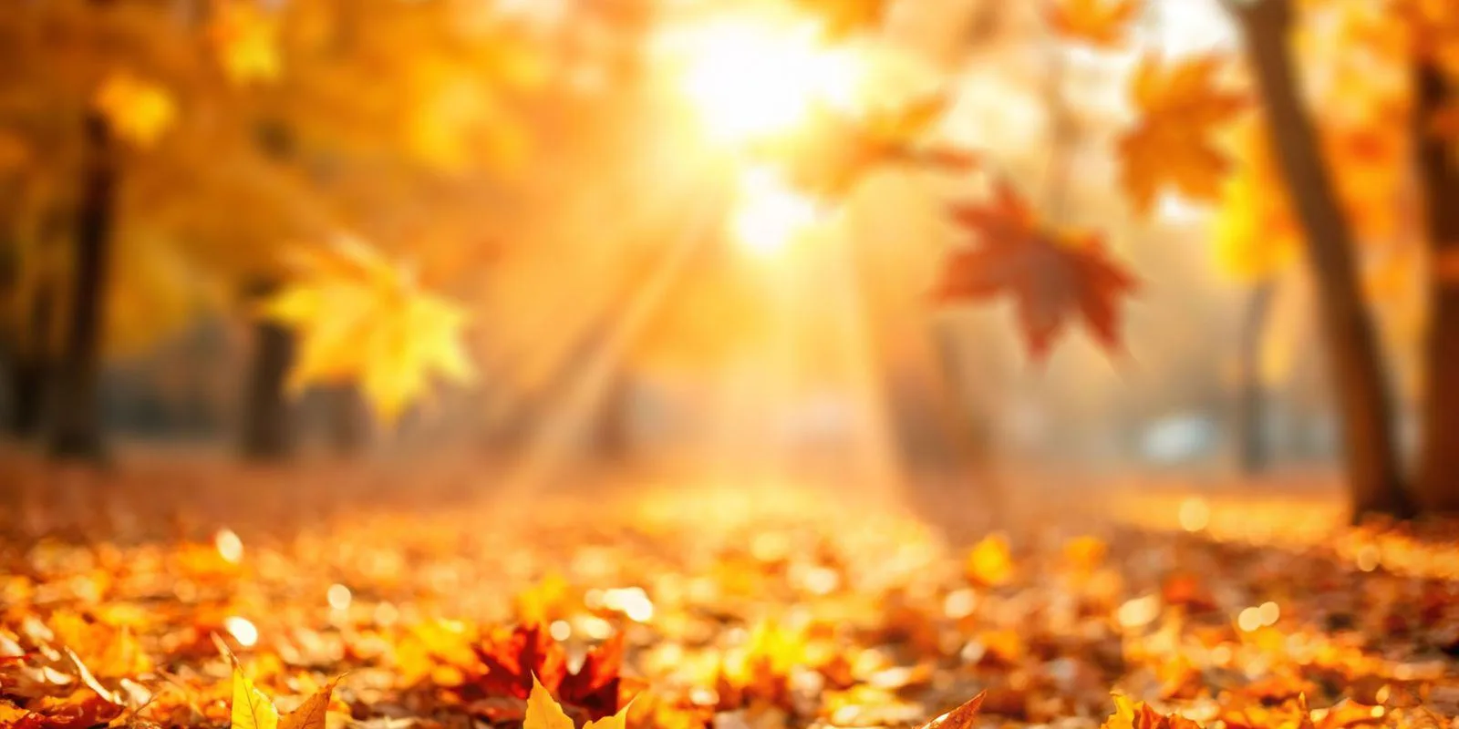 🍁 Золотая осень без хандры