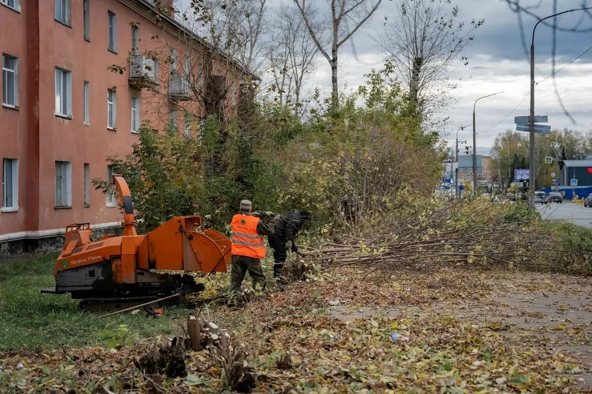 В Глазове увеличили расходы на приведение в порядок зелёных насаждений, сообщил глава г...