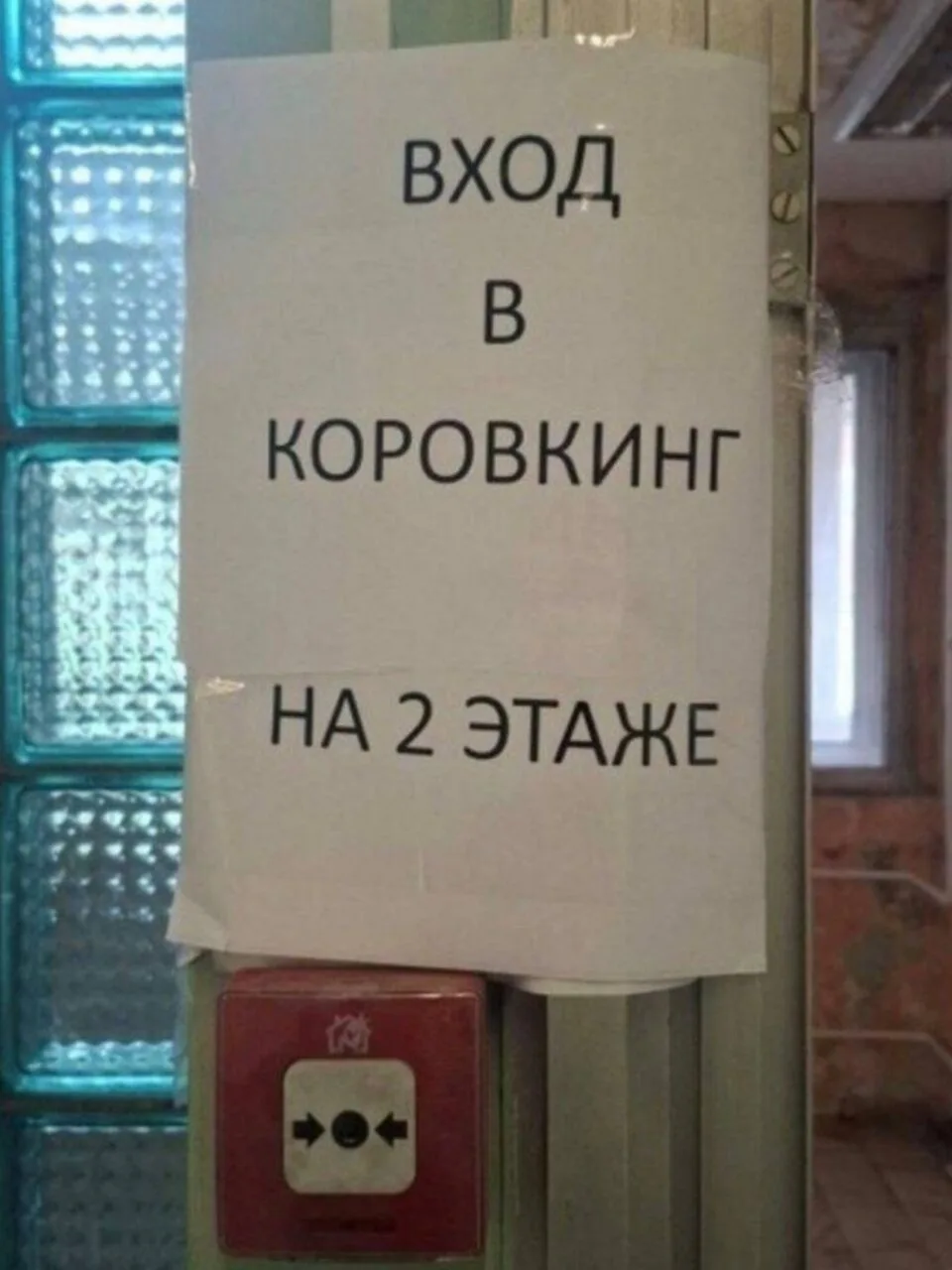 Давайте придумывайте ваши несмешные подписи к этой смешной фотографии 😉