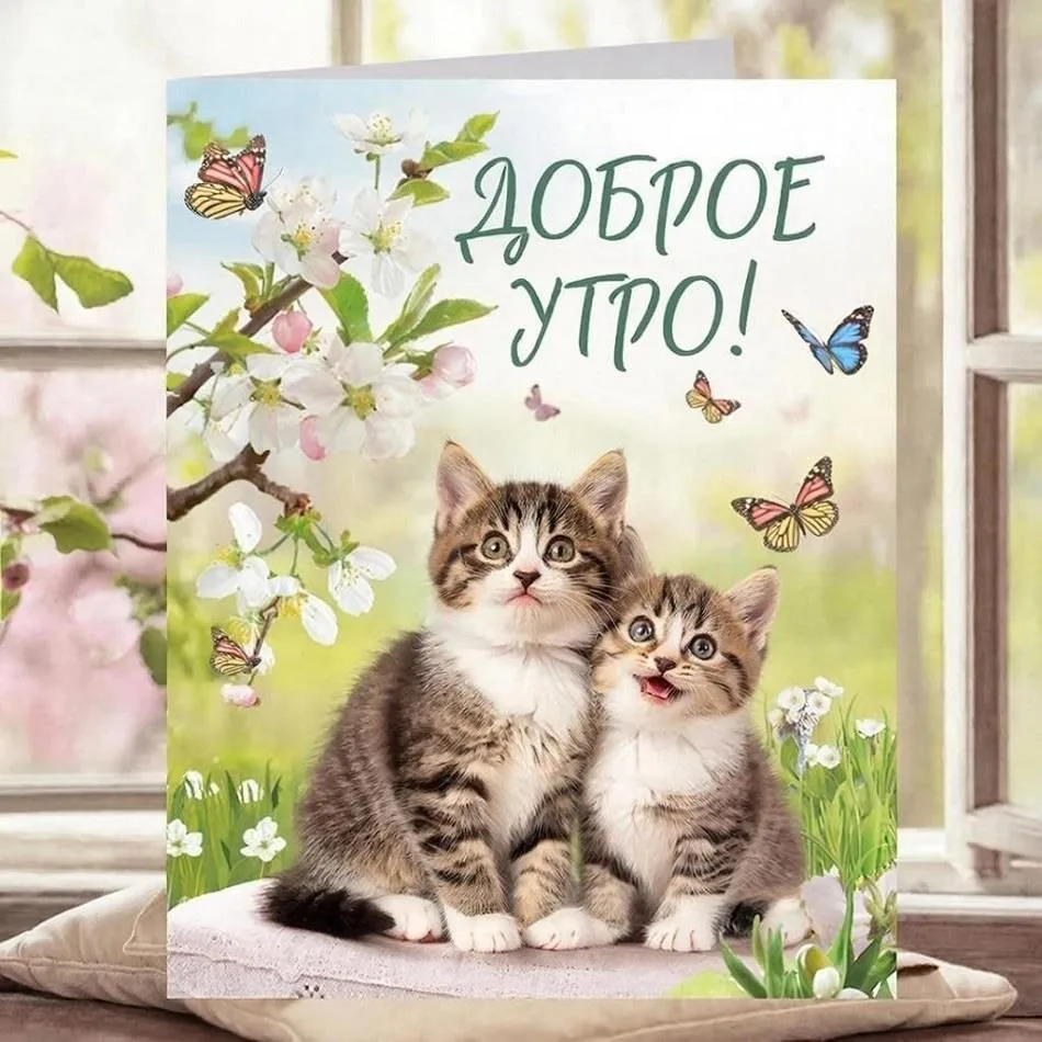 Утро с добрыми пожеланиями