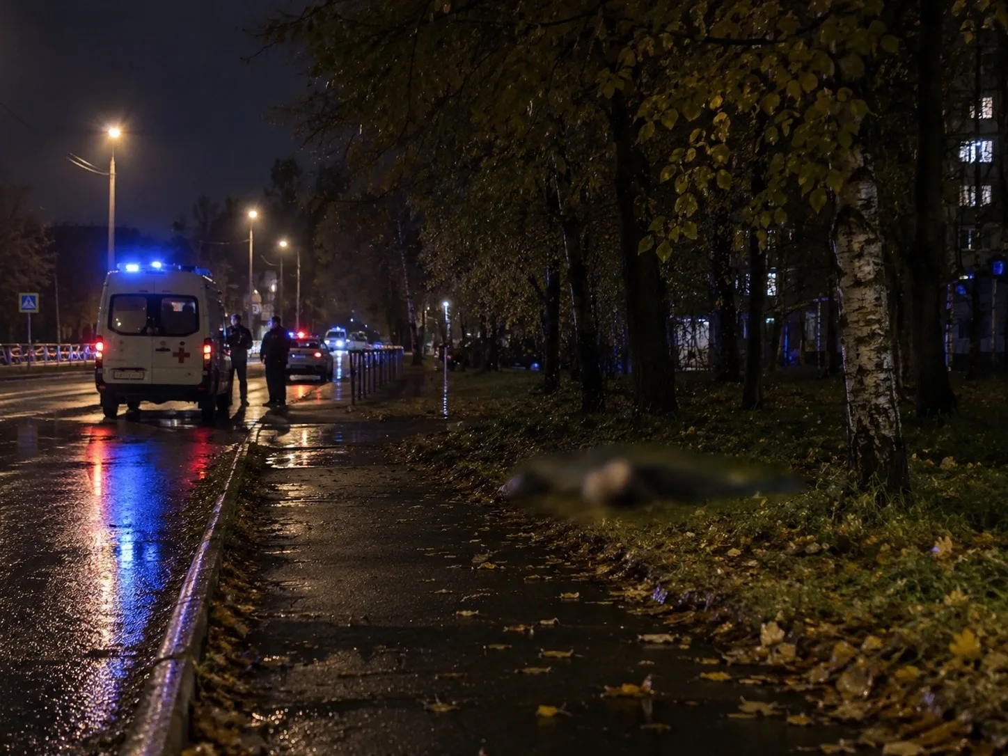 ⚡️Тело мужчины обнаружили рано утром на улице в Петрозаводске - не исключают ДТП