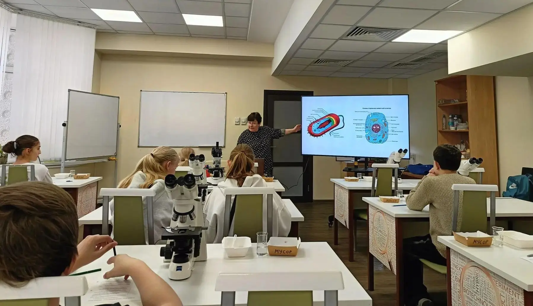 Увидеть невидимое