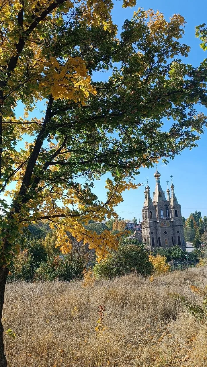 🍂 Осенние этюды Алчевска