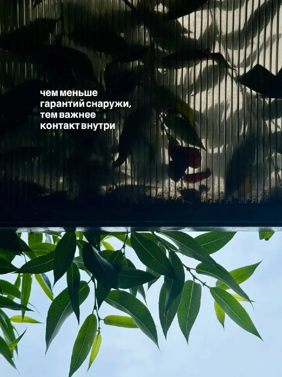 Даже те, кто профессионально помогает справляться с тяжёлыми чувствами, сами не защищен...
