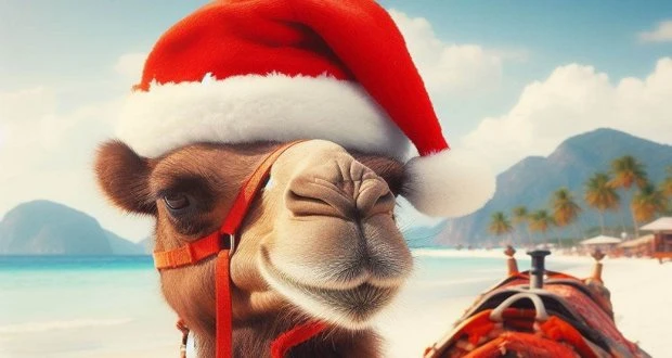 🎄 ЕГИПЕТ на НОВЫЙ ГОД из ЕКАТЕРИНБУРГА 🐫
