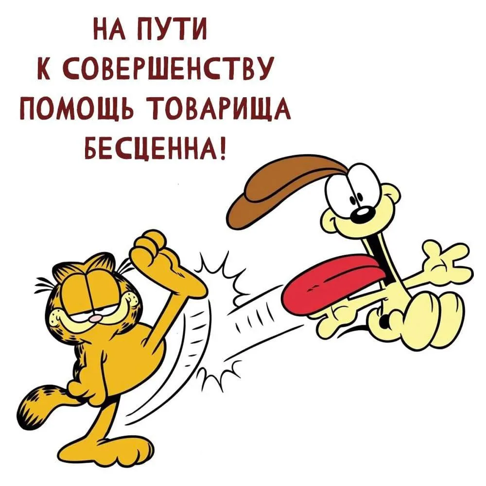 😂 День пинка под зад отмечается сегодня