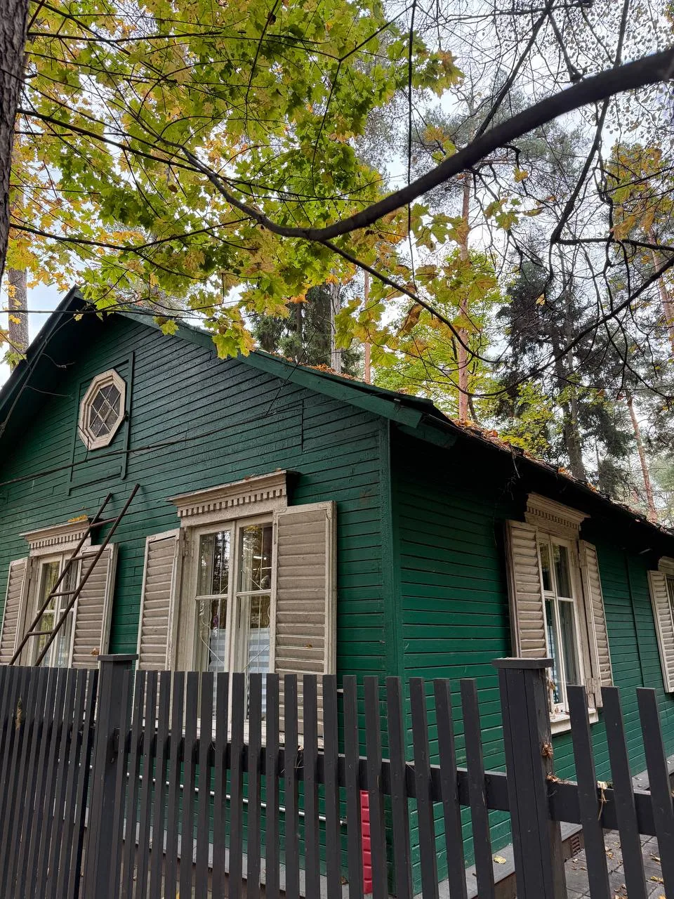 Какая-то любовь к осени 🍁