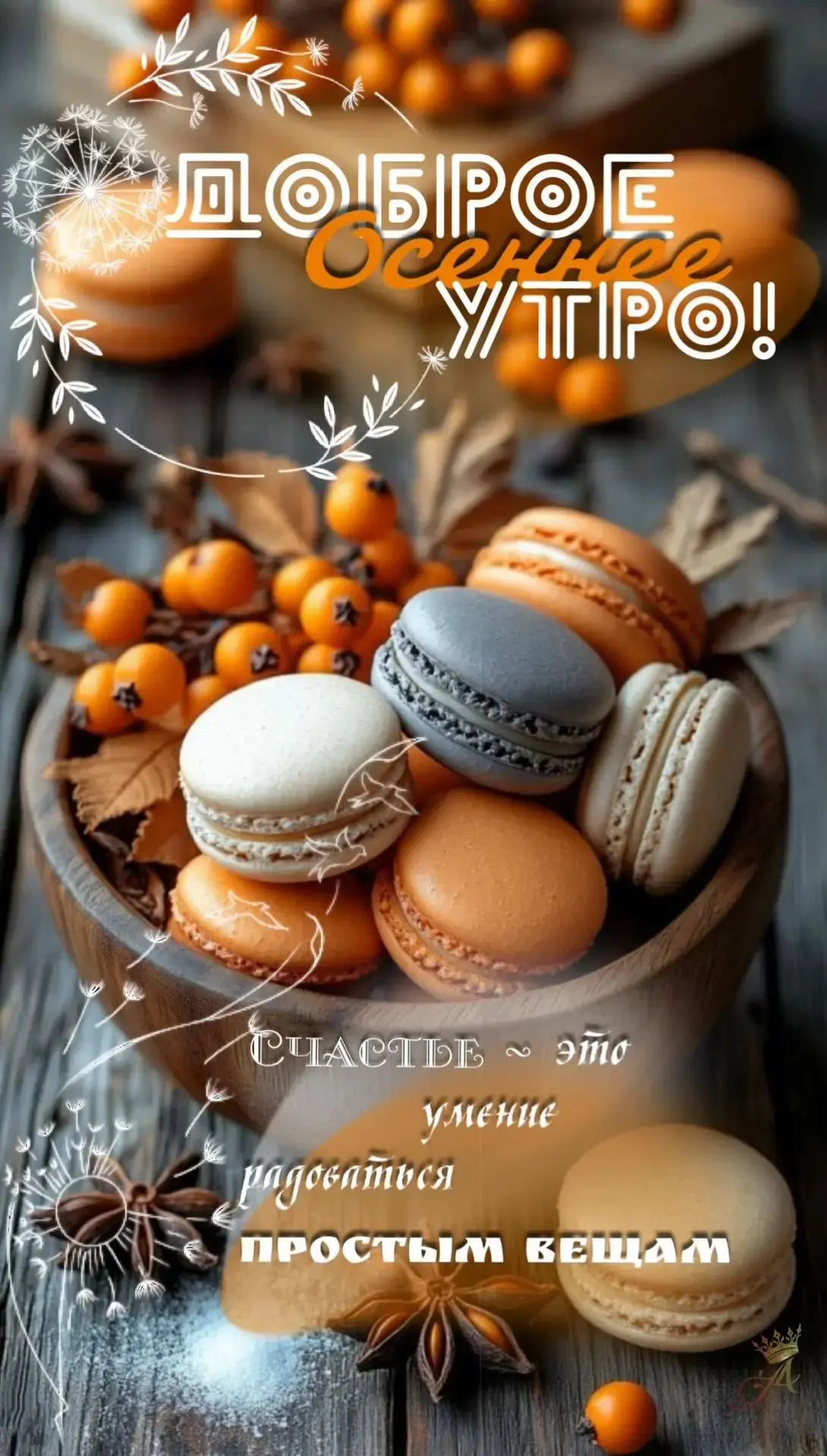 Доброе утро 🍁🍁🍁