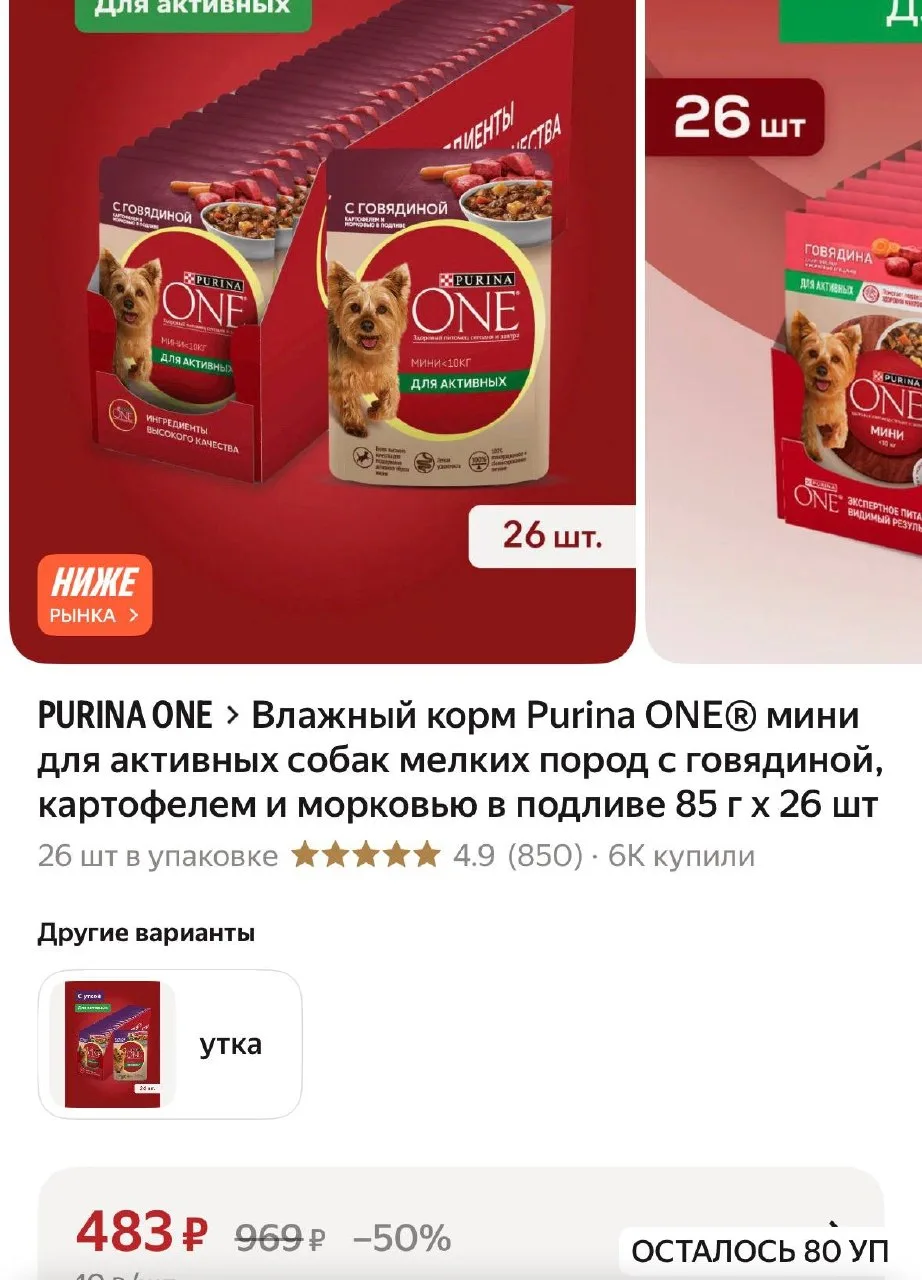 Бегом 🔥🔥🔥