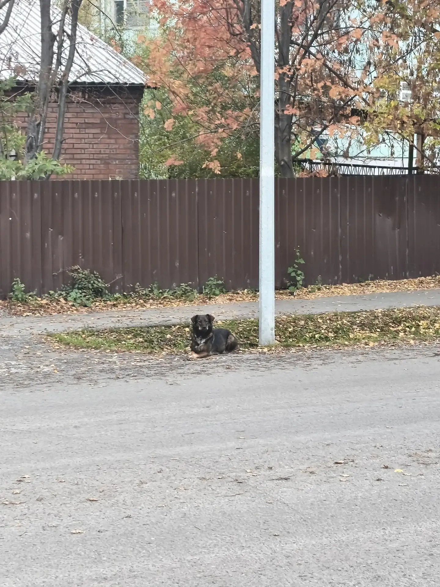 Добрый день,