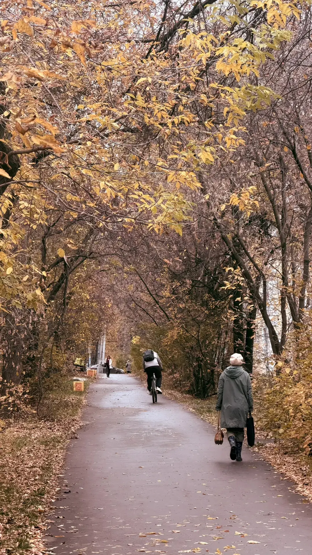 Ещё фоточки осеннего Эльмашика)