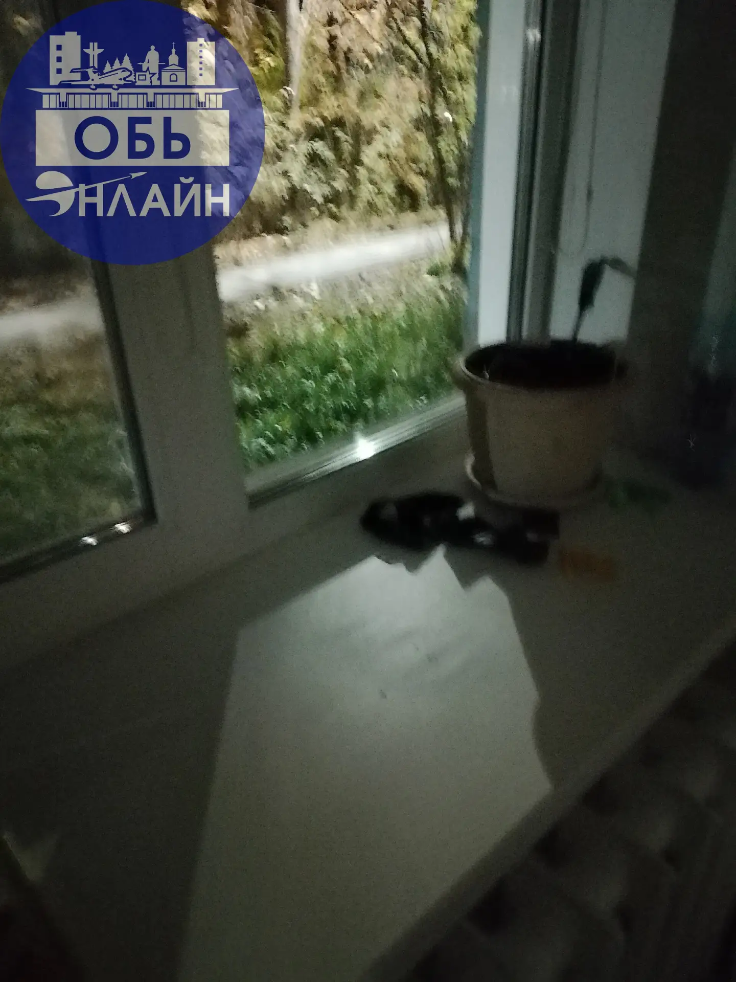 Мне вот интересно, кому пришло в голову за Октябрьской 6 над тротуаром вот так повесить...