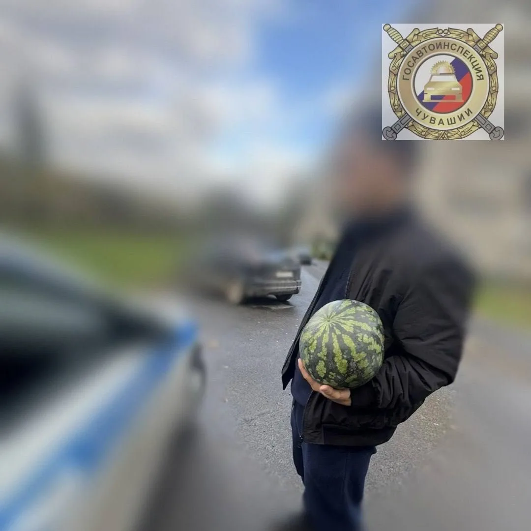 В Чебоксарах пешеход нарушил ПДД из-за спешки за арбузом