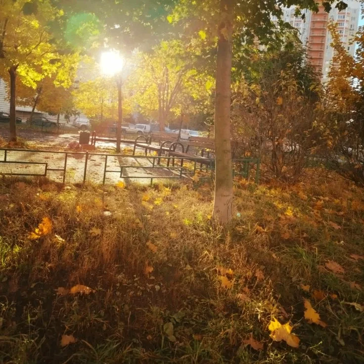 ☀️ доброе утро!