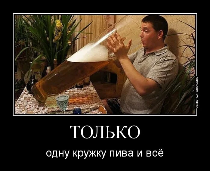 🍺Пить меньше пива ради поддержки Украины призвали европейцев