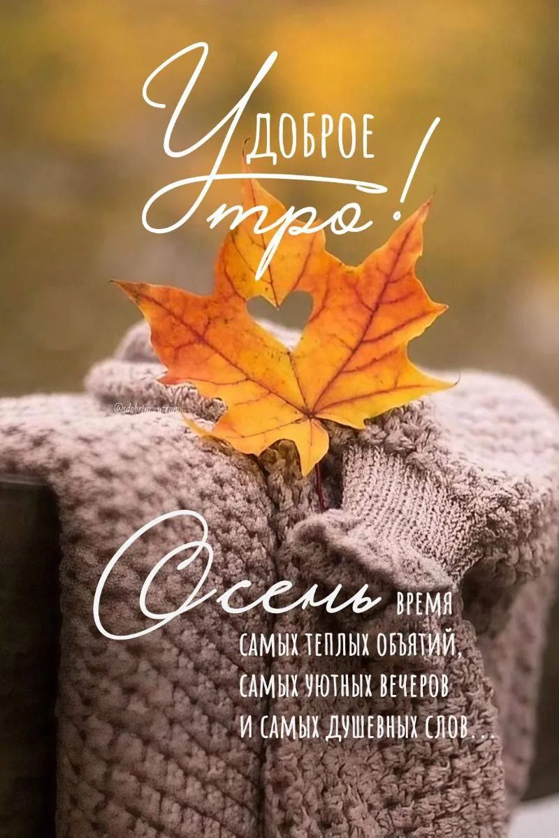 Женские открытки💝