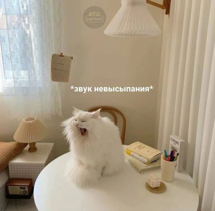 Доброе утро❤️
