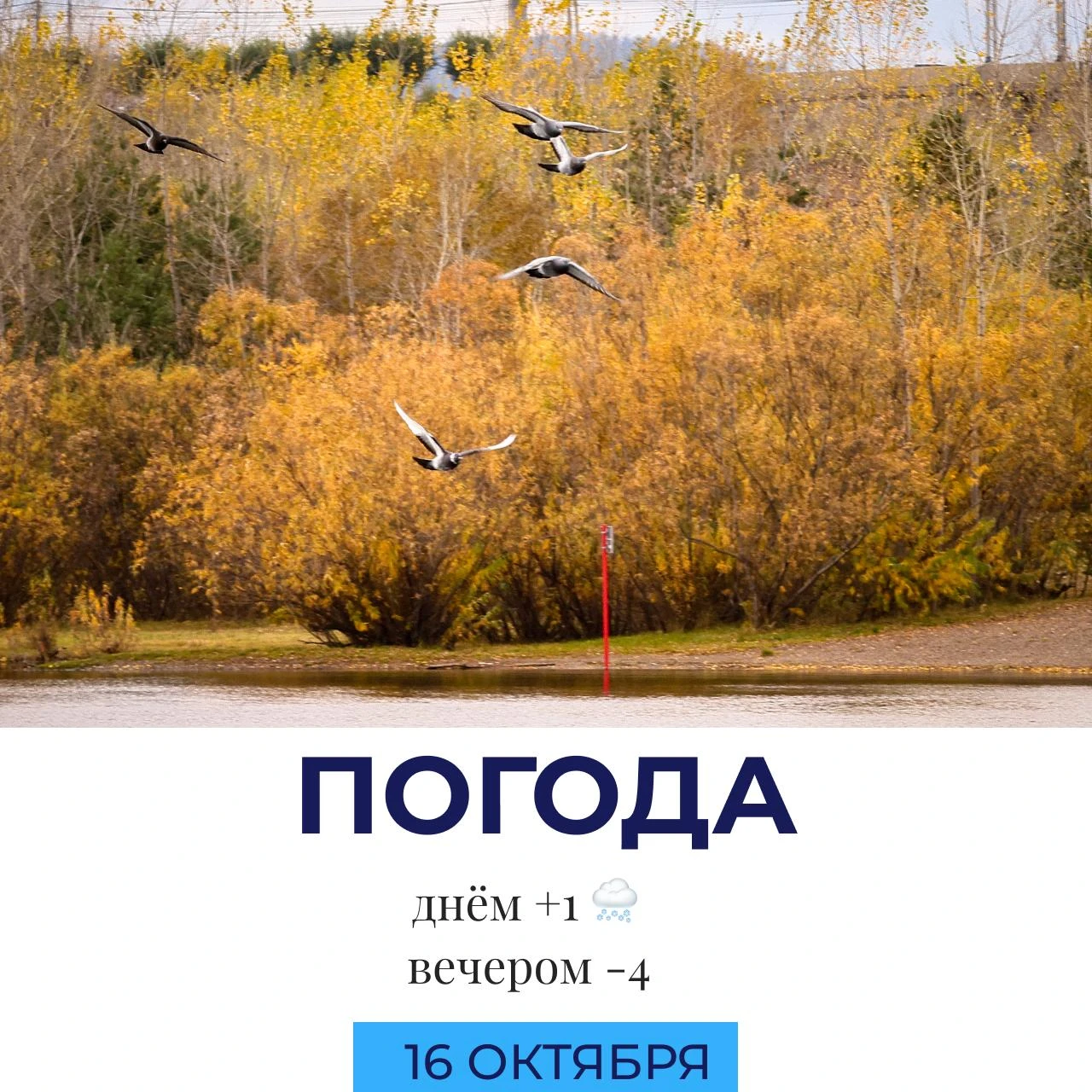 🌨 Погода сегодня