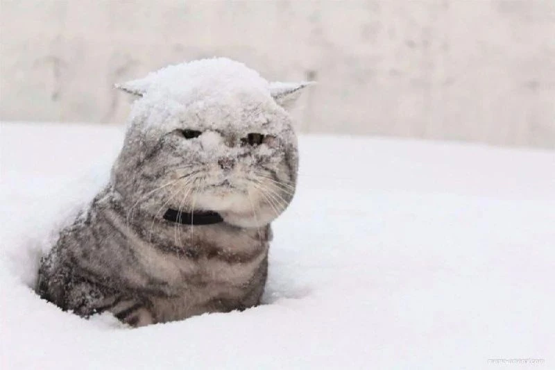 ❄️ Похолодание и снегопады надвигаются на Пермский край