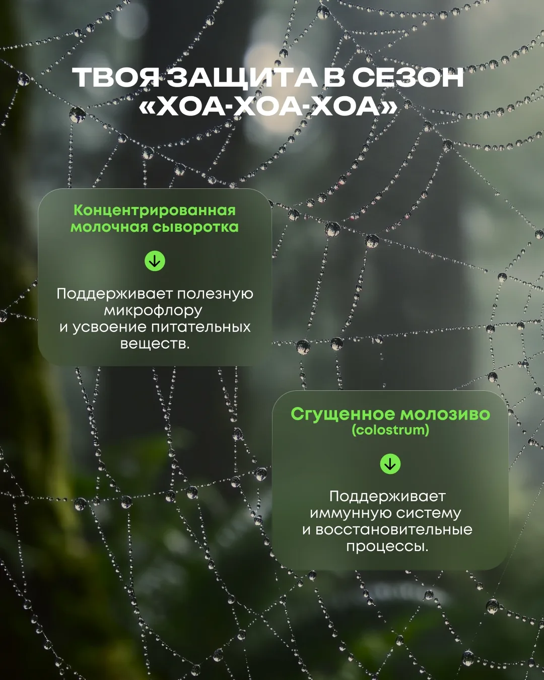 Что внутри!