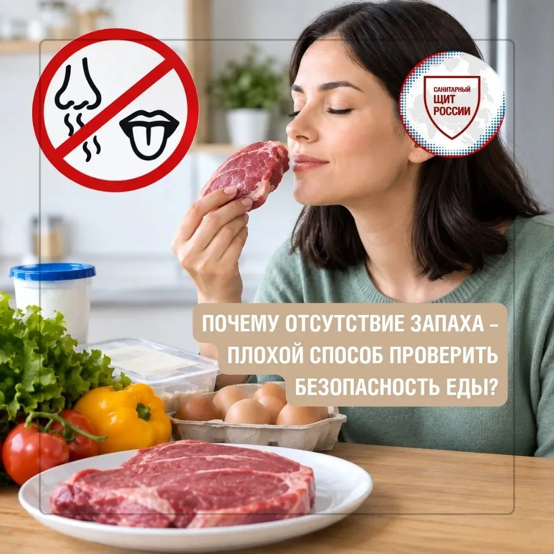 «Если еда нормально пахнет, значит, ее можно есть» – опасное 🚫 заблуждение.